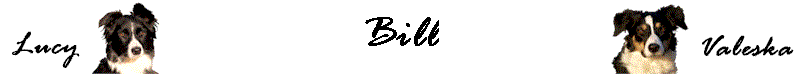 Bill