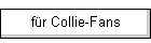 fr Collie-Fans