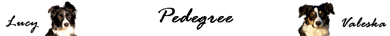 Pedegree